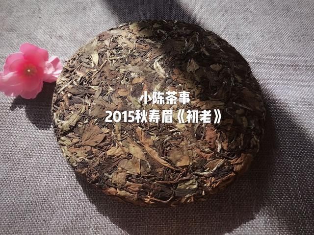 存白茶的3个误区，你中招了吗？