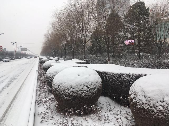 雪花飘飘 我们的城市下雪了