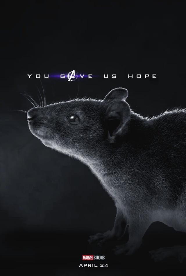 漫威偷偷重启时间线,钢铁侠复活有望?