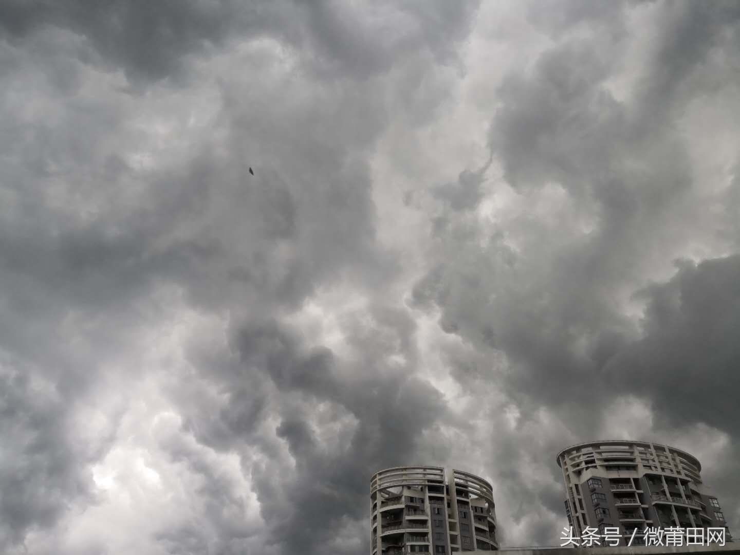 莆田暴雨来临前的天空，随手一拍都是大片，欣赏下乌云密布的样子