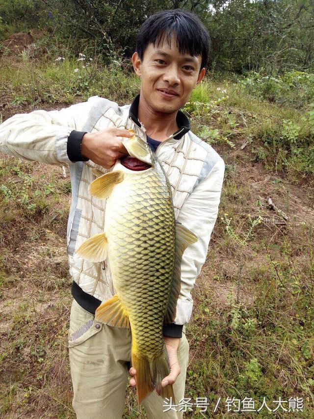 春季钓到了大鲤鱼，在野战蓝鲫中加入这2种饵料后鲤鱼更爱吃！