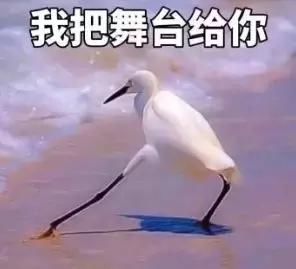 就在刚刚!珠海被人民日报点名!因为这件大事!