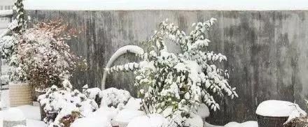 早上好各种图片