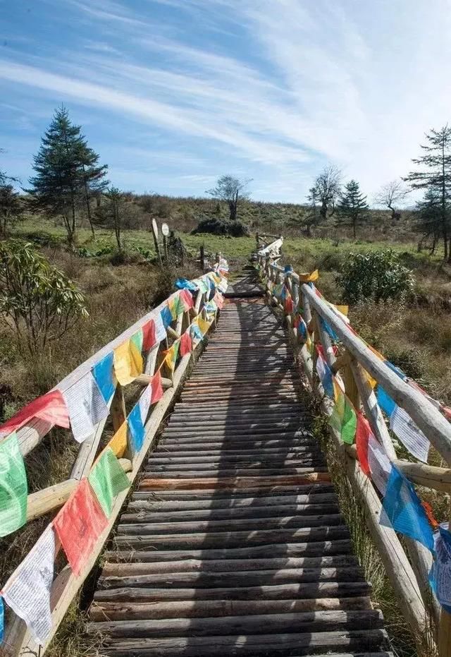 清明踏春冷门景点：看彩林、赏桂花，观峡谷，玩雪水，拒绝人挤人