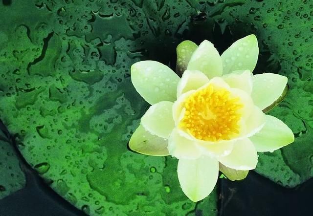 好句子优美句子