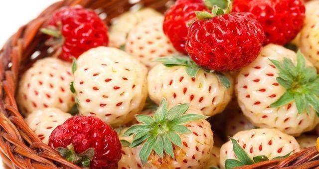 菠萝莓味道与菠萝相似，外形酷似草莓，果肉呈白色，又名白草莓