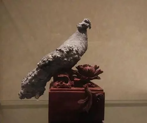石头多了，什么鸟都有了！