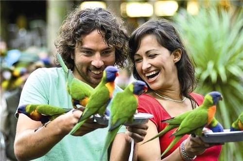 怀孕后除了猫和狗,这两携带弓形体病传染源的