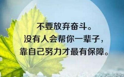 t012d60098b0fc93a83.jpg