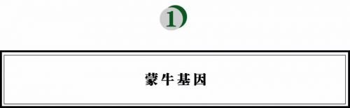 8年超1000家店，营收过10亿，进军新零售，便利店西北王如何炼成