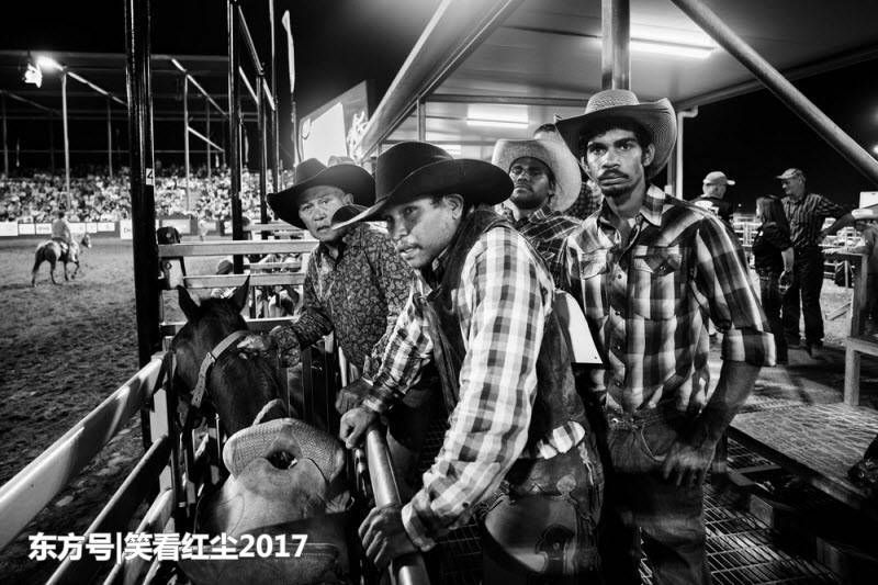 来自澳大利亚的有趣照片 来自澳洲的那些趣事，袋鼠乱穿马路，蛇