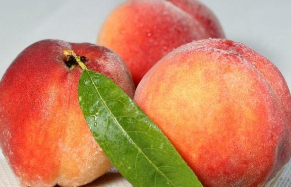 常吃桃子对人体有很多好处,吃完后桃核别扔掉