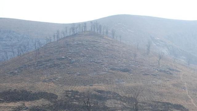 这座山中有99口水井，考古队赶到：下面埋着开国皇帝的亲弟弟