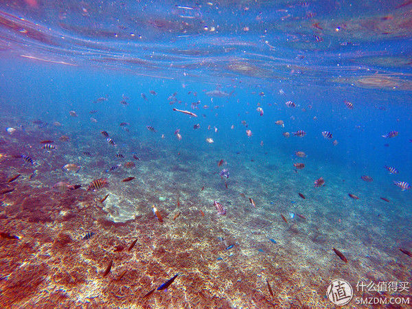 头脑一热，去马来西亚热浪岛了