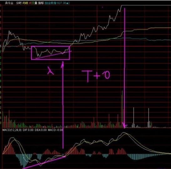 清华教授曝:”MACD+T+0“捆绑技巧，90%股民不知道的炒股技巧!