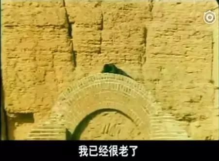 还记得2006夏天,中国队勇夺世界杯冠军!