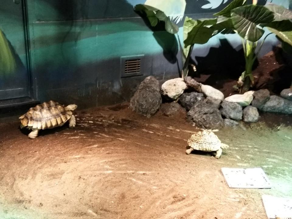 天津海昌极地海洋馆一日游