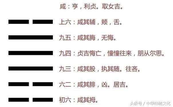 为什么说《易经》中的许多卦，可以看作一部“微型动画”？