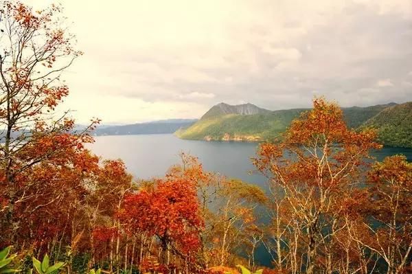 北海道丨一生中必去的五个浪漫地方