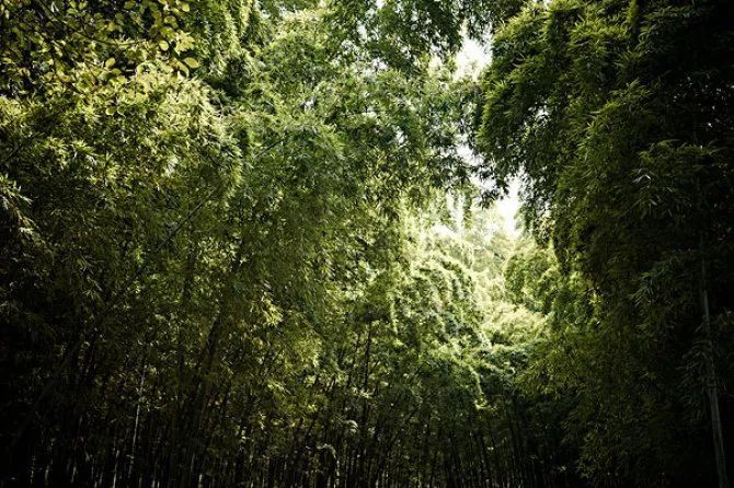 好一出恩爱大戏!江苏96市县的名字连起来，居然是一个爱情故事!