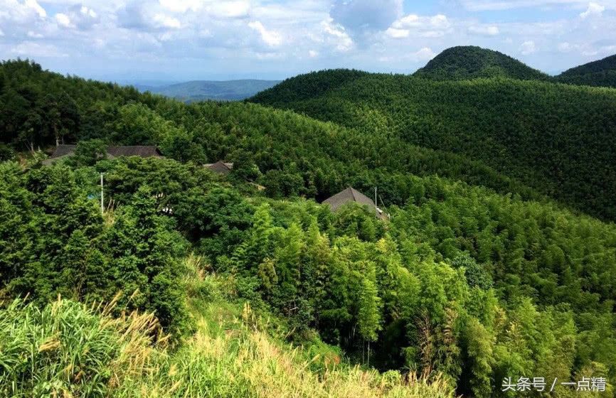 这个地方竹林面积达16万亩，魅力生态景点景区
