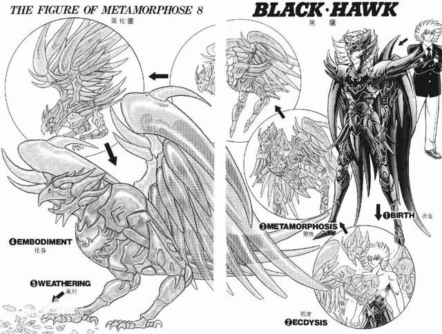 那一年折翼的《静斗士翔》,到底讲了漫画的女生故事头像熊酷酷图片