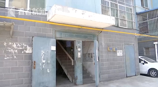 宠物犬伤人被打死 狗主人:它怎么光咬你不咬别