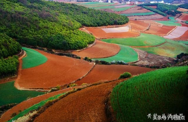 5月的云南美美滴-与大家一同分享云南旅游 摄影的景色