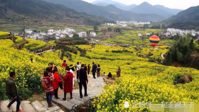 中国最美乡村：江西婺源，这里10万亩油菜花开了，如同天上人间