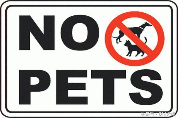 去泰国住酒店4大禁止！第一个就犯规，看完一身冷汗……