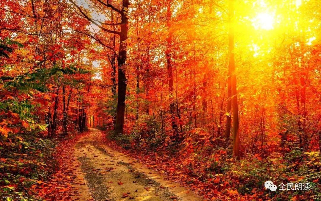 名家朗诵 | 胡乐民诵读《秋天的怀念》