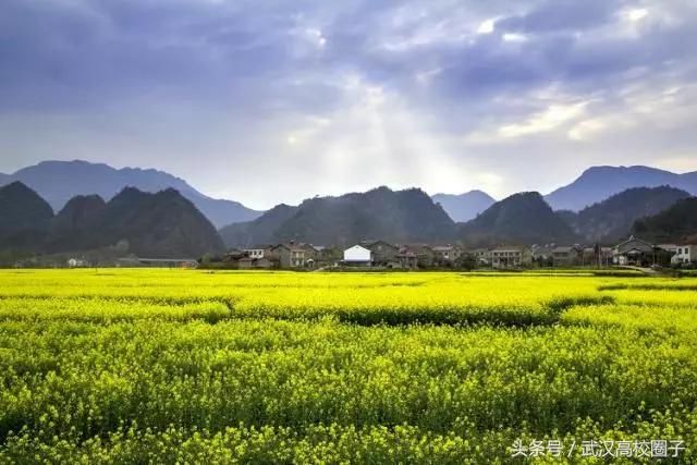 武汉30个春游免费景点大集合!踏青、骑行、拍照来这里就对了!