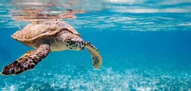 四川办护照方便啦,实行只跑一次,这些国家对