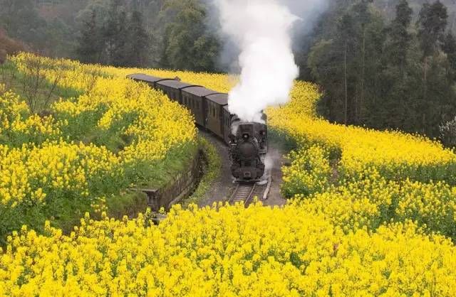 3月国内外旅行地推荐，不要辜负大好春光啦!