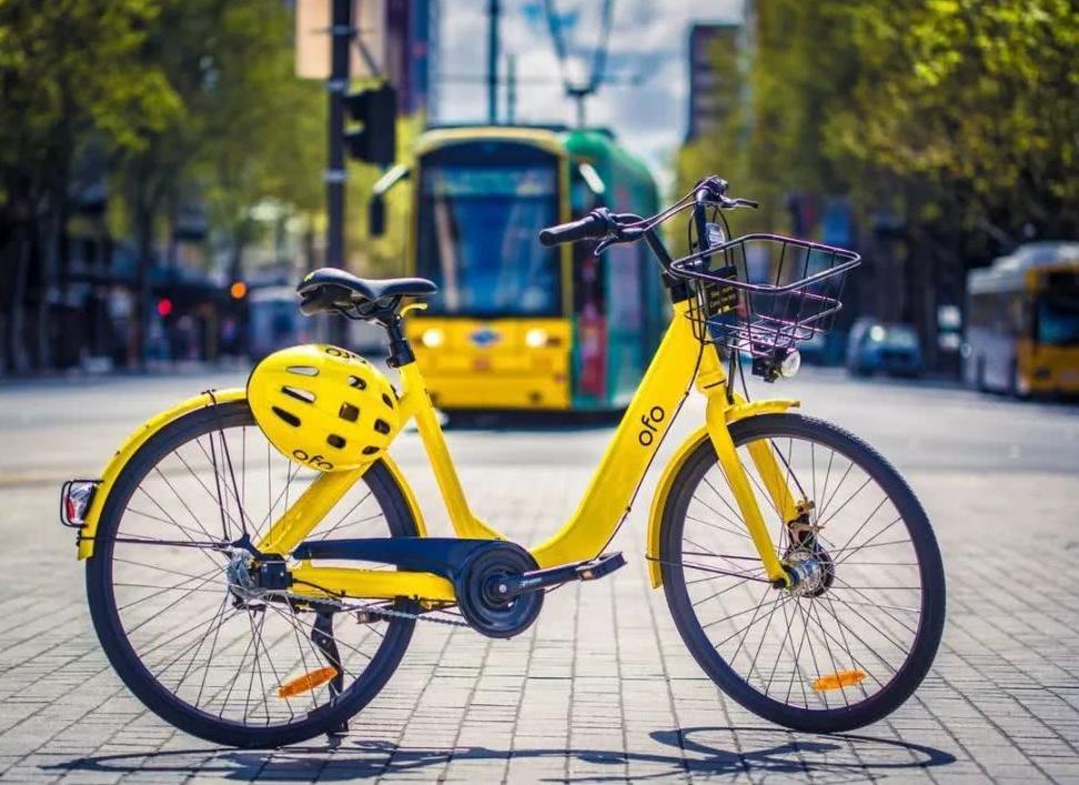 00后选择什么职业