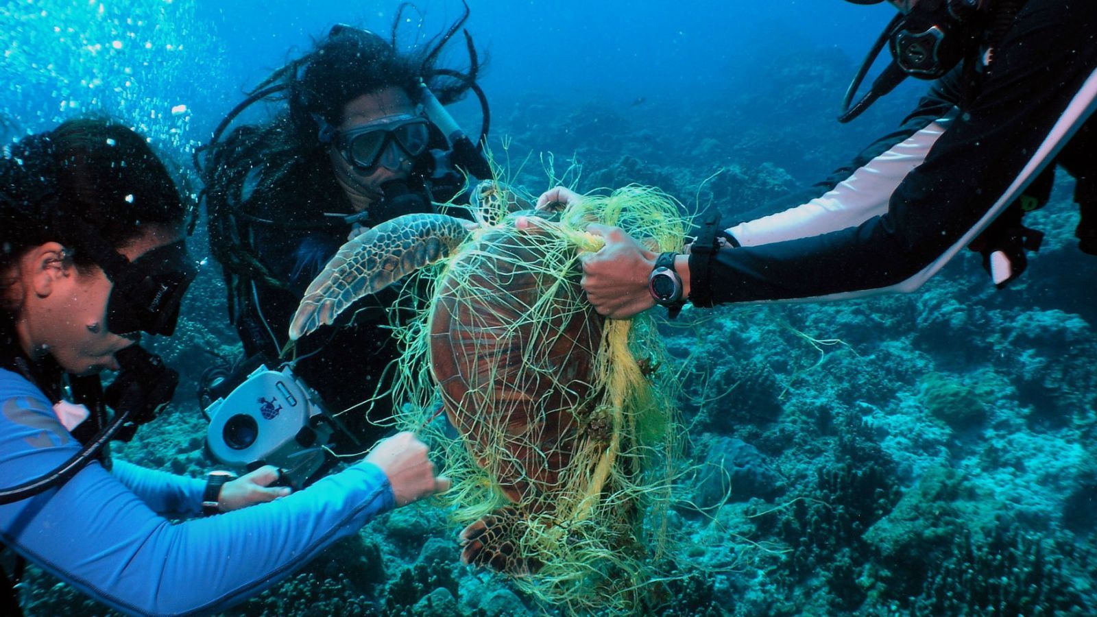直击全球最大的垃圾场，不在大陆而在海洋，面积有4个日本的大小_【快资讯】