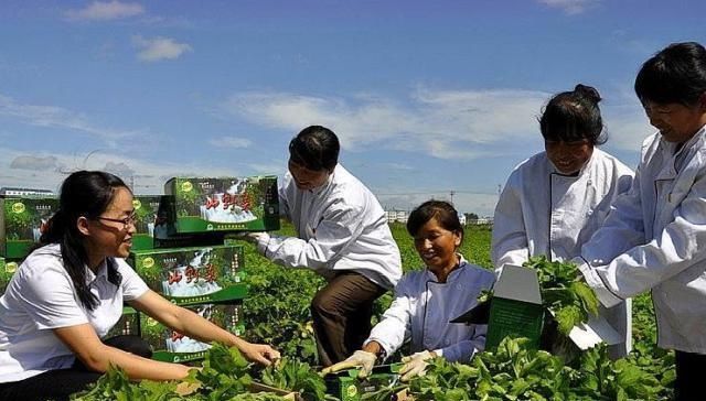 食品发展的前景