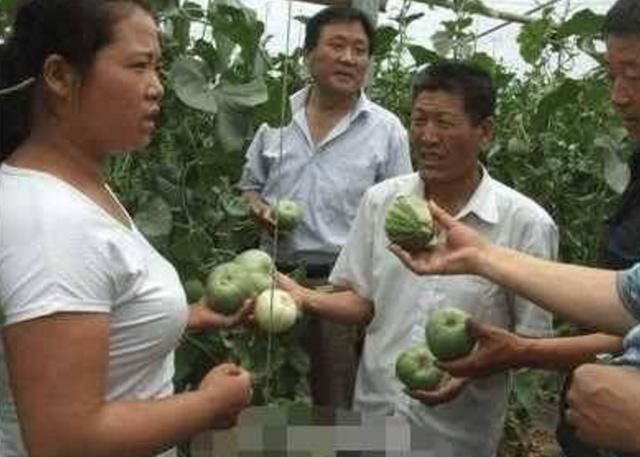 夏天人们最爱吃的“零食水果”，医生说还有去除口臭的药效！