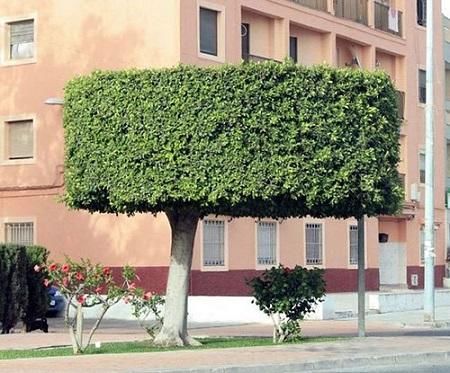 搞笑糗事:教你们如何用大屁股电视变成挂墙平板电视