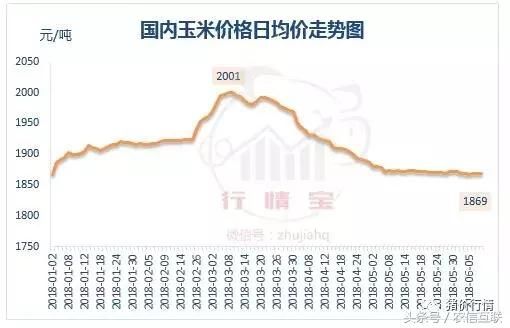 玉米价格跌至年内低点！分析师：供应缺口较大，秋收玉米涨价！