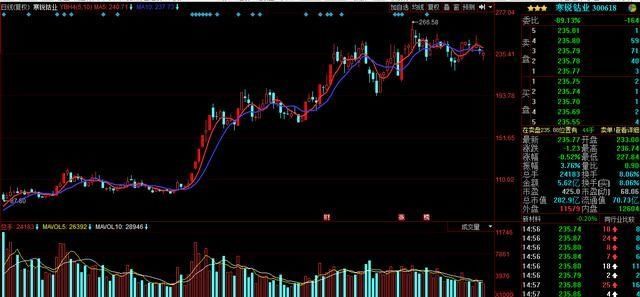 特斯拉空头亏损_2018股市人均亏损