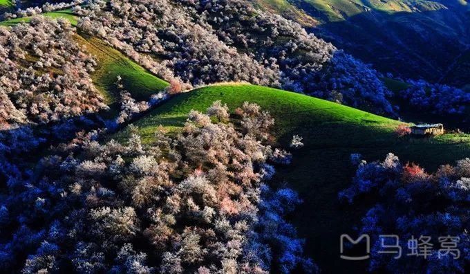 【每月在路上】三月,送你最in的赏花攻略,十大赏花胜地,愿你不