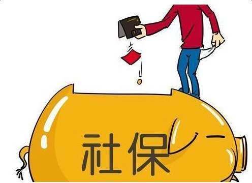 保险怎么查询