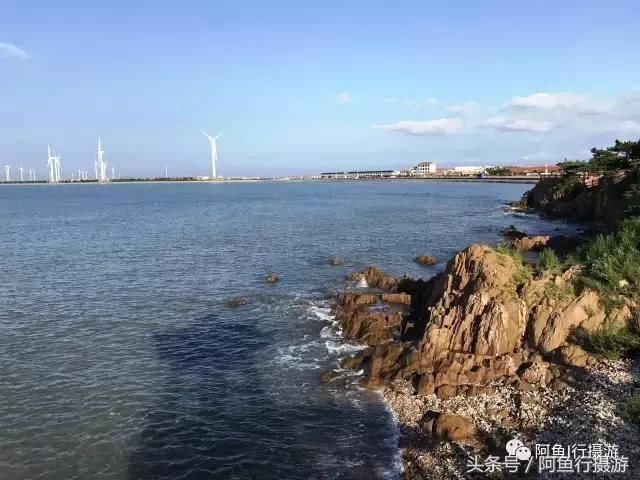 游记山东青岛、威海、济南