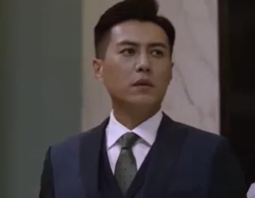 精英律师一天几集