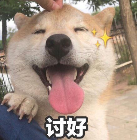 徒弟向男生要钱的师傅|我的手头有点紧父母的关于表情包表情图片