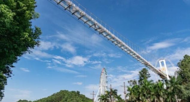 钢琴教师资格证