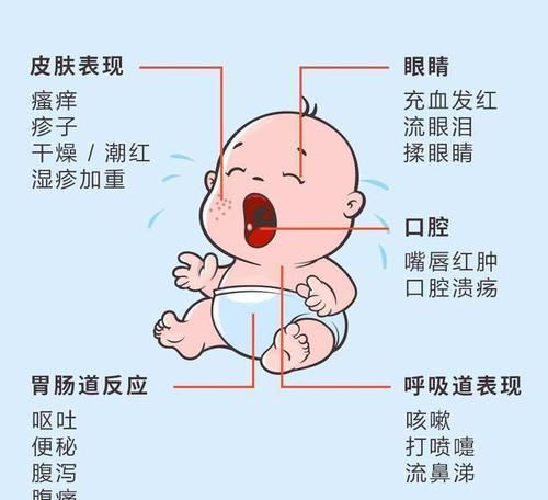 公司注册号是什么