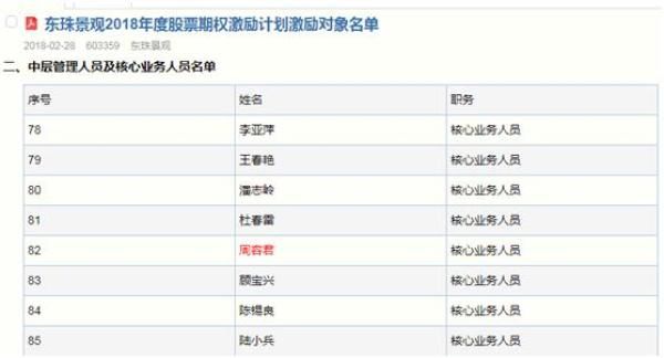 ppp项目的项目公司收入来源