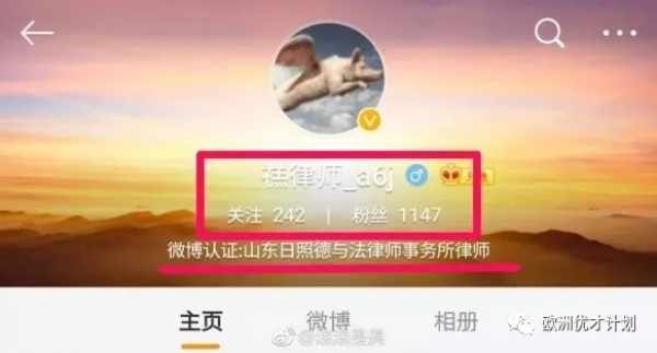 这个无耻恶毒的中国律师，终于付出了代价！